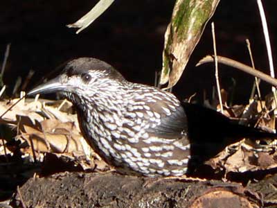 f0083977_10231414.jpg