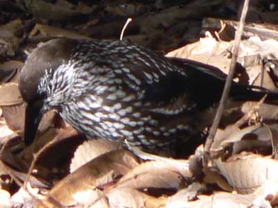 f0083977_10233060.jpg