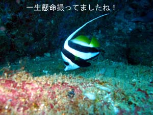 のんびりラチャノイ・ラチャヤイ島♪_f0144385_0113327.jpg
