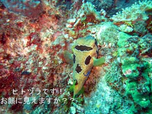 のんびりラチャノイ・ラチャヤイ島♪_f0144385_0115984.jpg