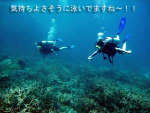 若いエネルギーいっぱい♪_f0144385_21265768.jpg