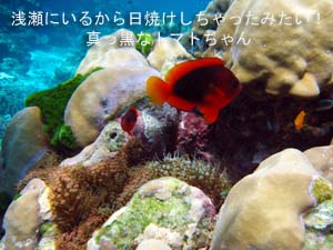若いエネルギーいっぱい♪_f0144385_21284596.jpg