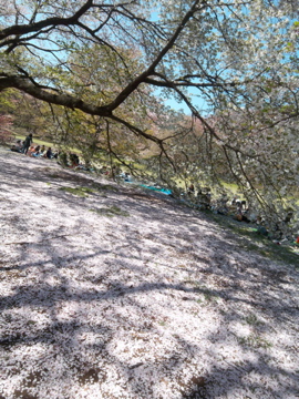 c0180686_465357.jpg