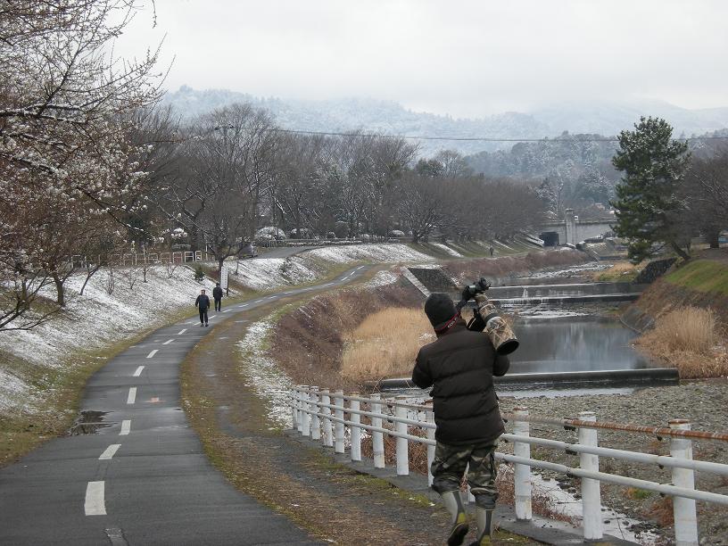 また、雪が降りました（２．１９）_f0063887_024334.jpg