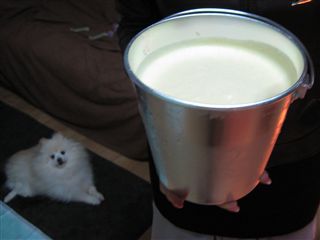 e0121589_1152581.jpg