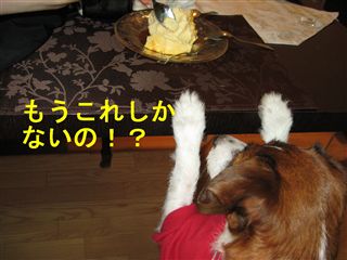 e0121589_122406.jpg
