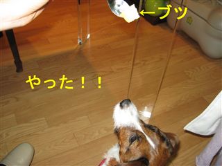 e0121589_124345.jpg