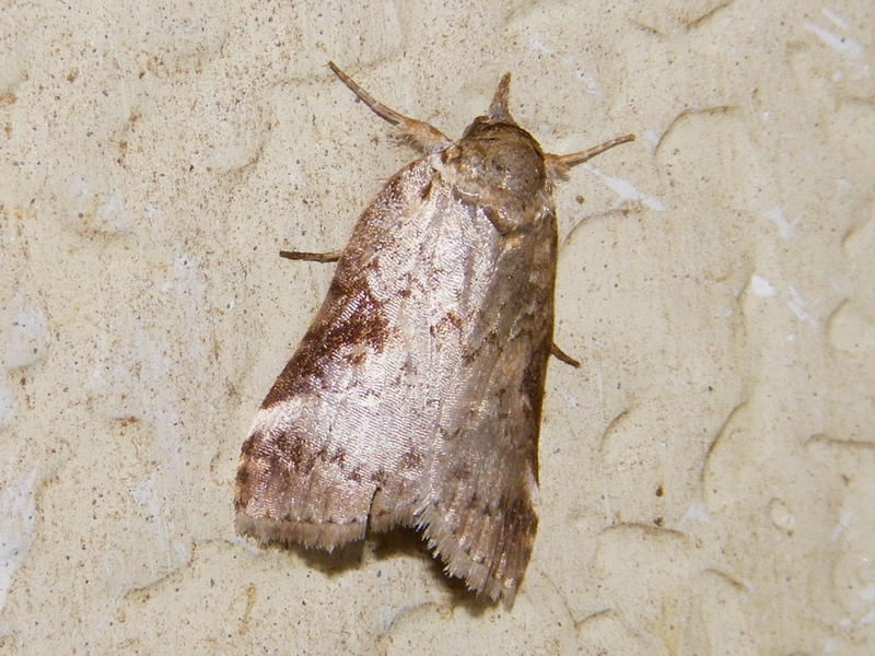 f0204094_9222937.jpg