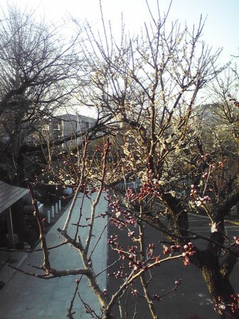 a0159795_11373875.jpg