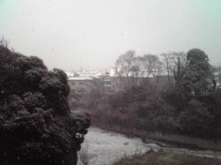 f0122998_9254065.jpg