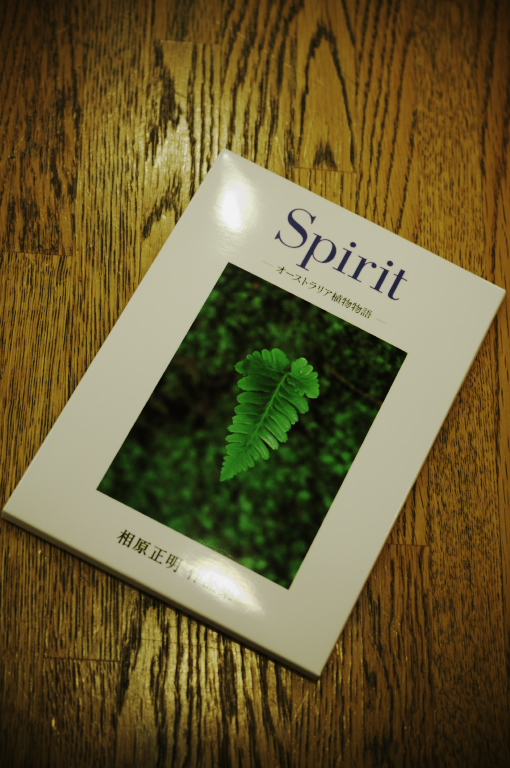 Masaaki Aihara PHOTO EXHIBITION 　Spirit －オーストラリア植物物語－_f0002701_19543111.jpg