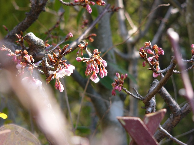 a0123003_17433023.jpg
