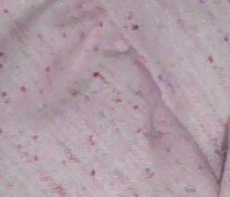 e0081903_9463425.jpg