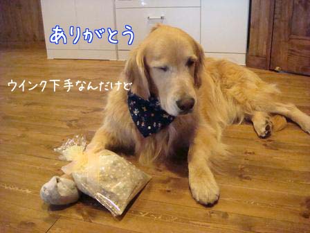 五郎が5歳になりました。_f0064906_1819378.jpg