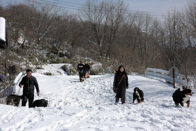 February 14, 2010　秘密基地で17バニと_f0137508_13223350.jpg