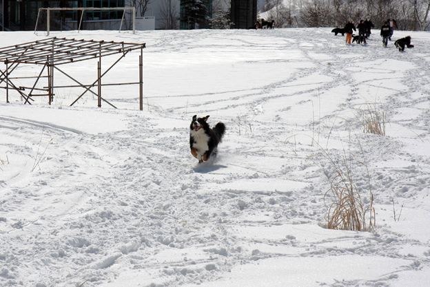 February 14, 2010　秘密基地で17バニと_f0137508_13261342.jpg