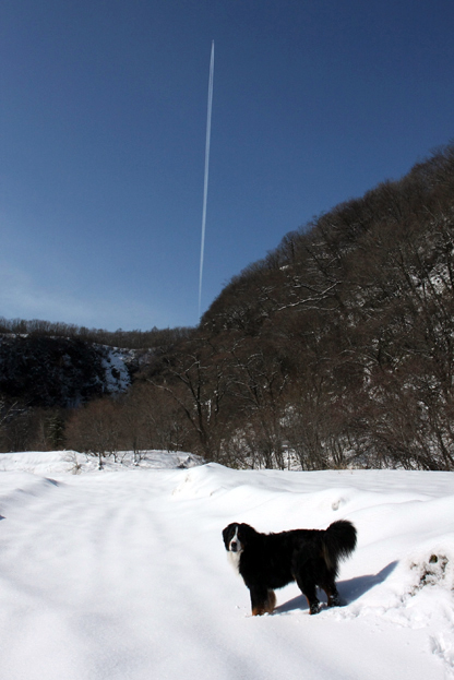 February 14, 2010　秘密基地で17バニと_f0137508_13325937.jpg