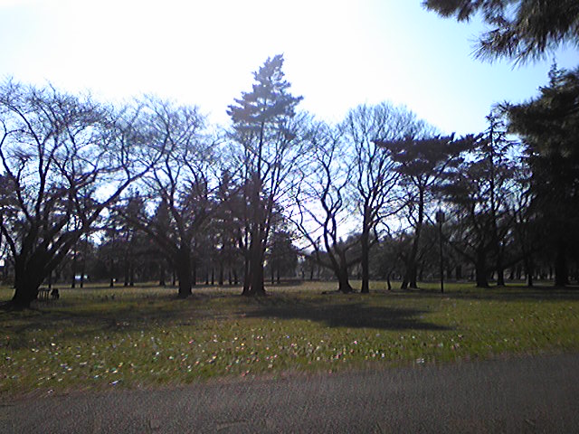 e0126009_21191911.jpg