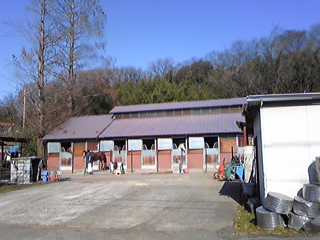e0126009_21192411.jpg