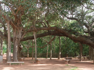 d0094310_1745145.jpg