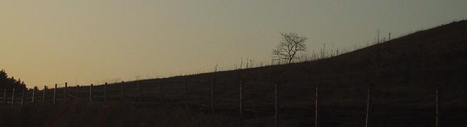 c0097620_2085655.jpg