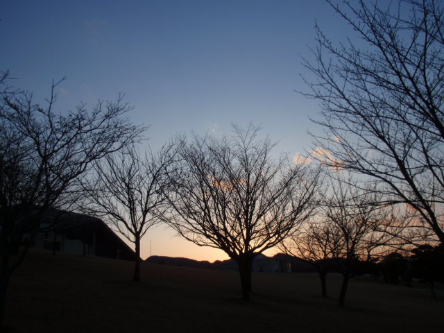 e0136620_625793.jpg
