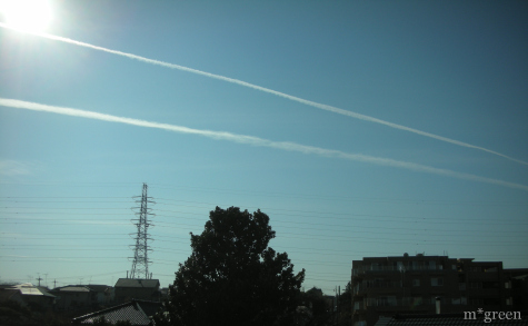 e0171120_212337.jpg