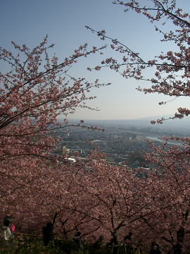 c0086221_233193.jpg