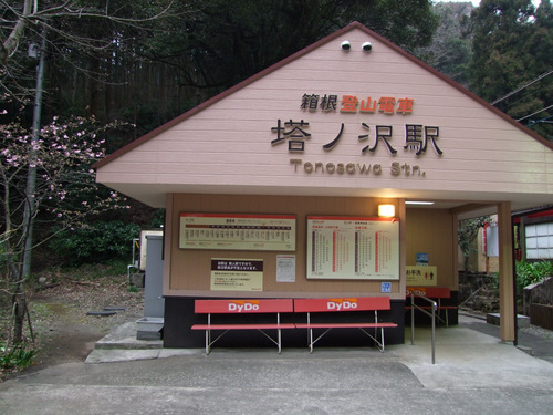「箱根スイーツコレクション2010 箱根ベゴニア園 抹茶ときなこのムース」_a0000029_1251760.jpg