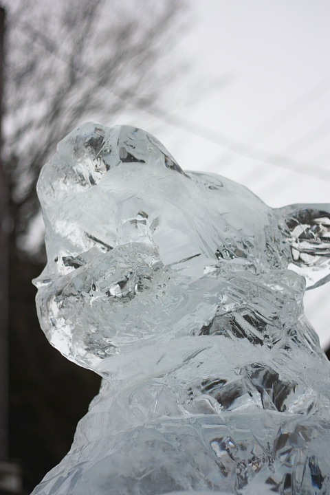 【蔵出し写真】2010.02.11氷の彫刻_f0166032_2227135.jpg