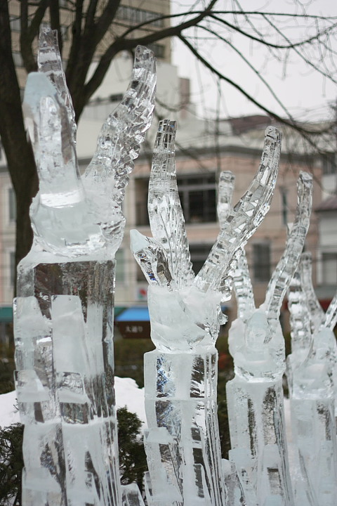 【蔵出し写真】2010.02.11氷の彫刻_f0166032_22273058.jpg
