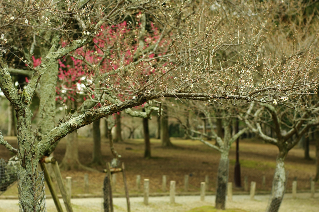 帰り道、公園で号泣_e0145635_2171032.jpg