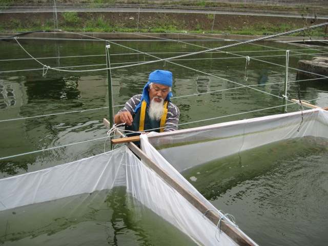 宮島養魚場２００９　vol.2_f0214235_2020961.jpg