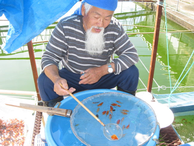 宮島養魚場２００９　vol.2_f0214235_20375417.jpg