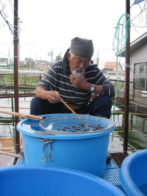 宮島養魚場２００９　vol.2_f0214235_2075520.jpg