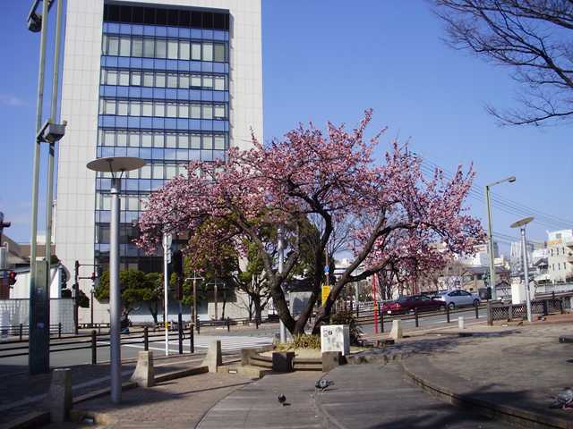 e0060041_2203046.jpg