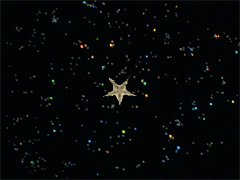e0005548_23103213.gif