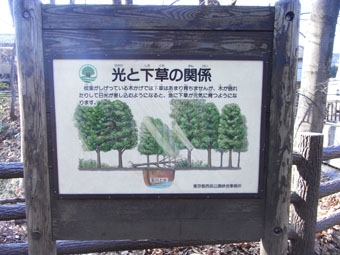 b0135360_18495899.jpg