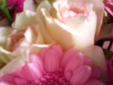 b0134673_9351100.jpg