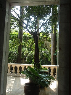 b0086476_1232366.jpg