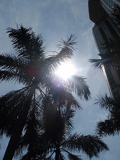 b0086476_1325275.jpg