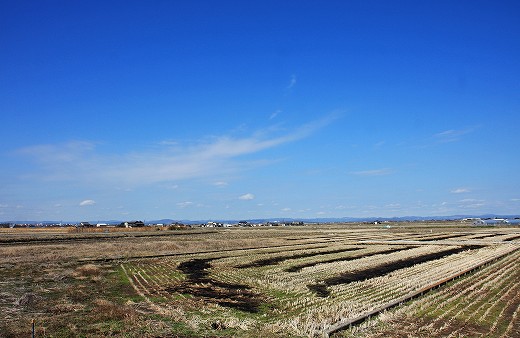 なんちゃって北海道_e0190885_203575.jpg