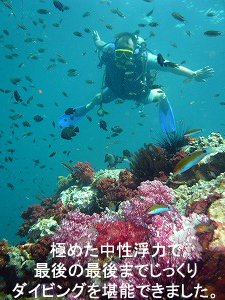 やっぱり海はいいですね ~祝☆アドバンス!~_f0144385_204916100.jpg