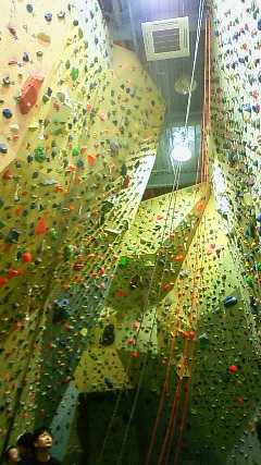 f0197088_2303228.jpg