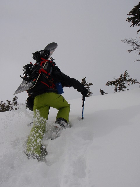 c0147398_23304068.jpg