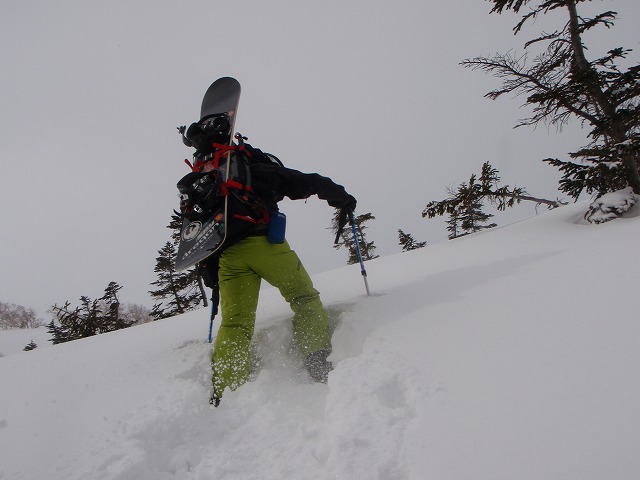 c0147398_23305070.jpg