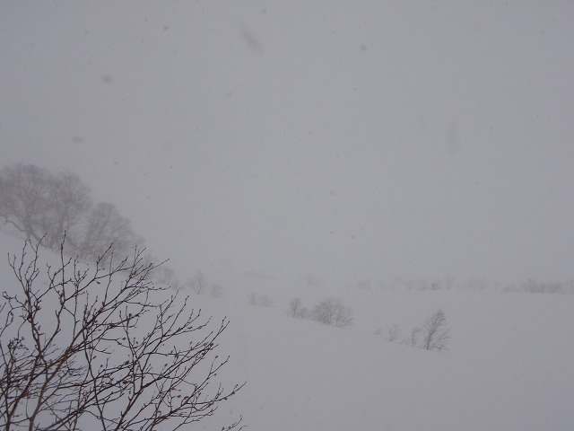 c0147398_23311390.jpg