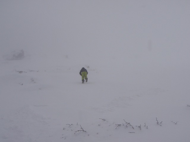 c0147398_23325327.jpg