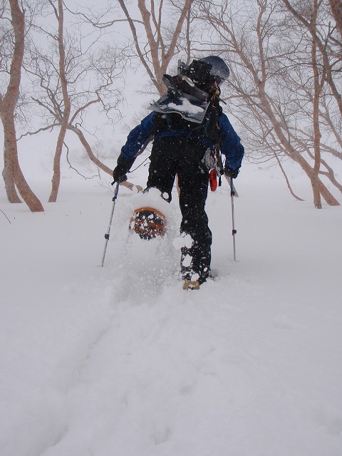 c0147398_2332926.jpg