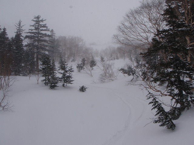 c0147398_2333676.jpg